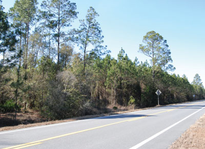 Session A: Tracts 1-3, Charlton County, GA