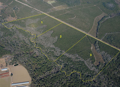 Session A: Tracts 1-3, Charlton County, GA