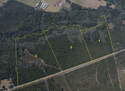 Session A: Tracts 1-3, Charlton County, GA